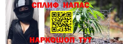 mdpv Краснознаменск