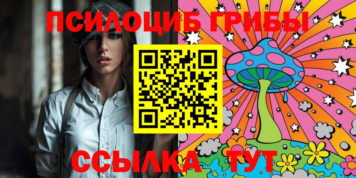 Псилоцибиновые грибы Psilocybe Ковров