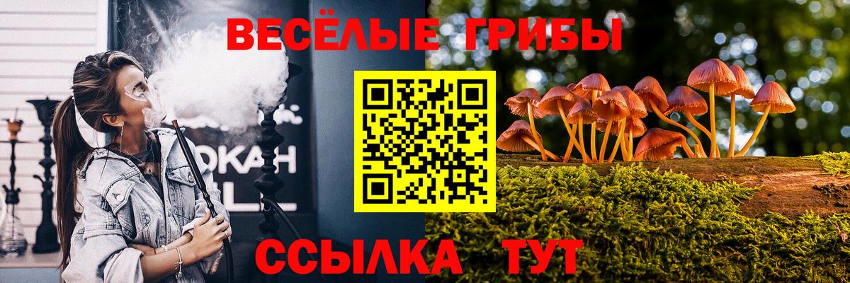 Галлюциногенные грибы GOLDEN TEACHER  Вход с VPN  Ковров 